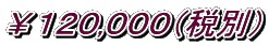 ￥１２０,０００（税別）